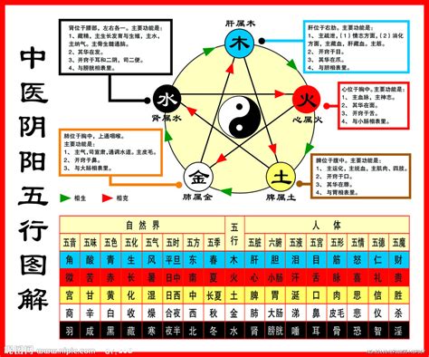 我的五行屬什麼